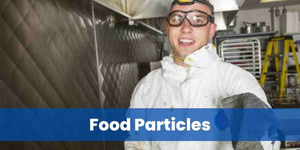 Food Particles